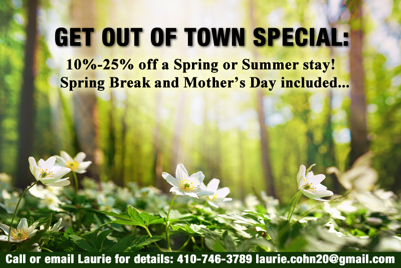 deep-creek-lake-spring
